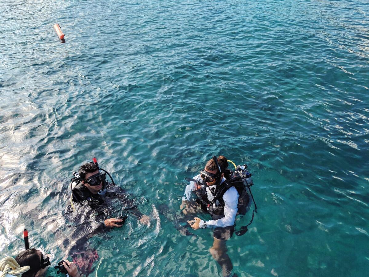 Quiver Dive Team Perhentian Dorm Pulau Perhentian Kecil Экстерьер фото